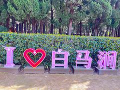 -白马涧龙池景区