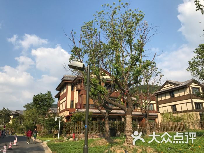 无锡途家斯维登度假别墅(拈花湾店)图片 - 第3张