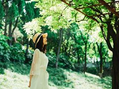 -嘉定紫藤园
