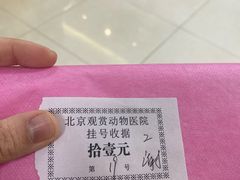 -北京观赏动物医院·24小时大型综合·猫专科·异宠专科