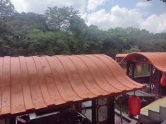 -侨美·唐荔园·40年地道粤菜