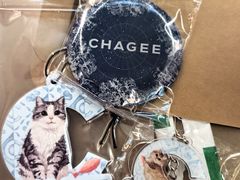 -厦门高崎国际机场-T3航站楼