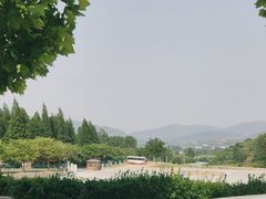 -沂蒙山旅游区云蒙景区(蒙山国家森林公园)