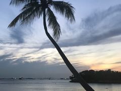 -巴拉湾海滩