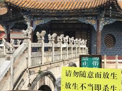 景点-圆通禅寺