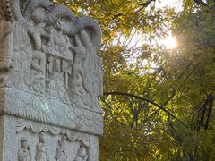 -元大都城垣遗址公园