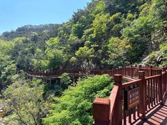 -崂山九水游览区