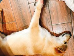 -About Bistro關於·泰式家庭料理