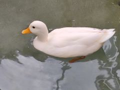-洛阳龙门海洋馆
