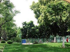 -后襄河公园