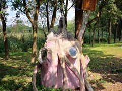 -昆山城市生态森林公园