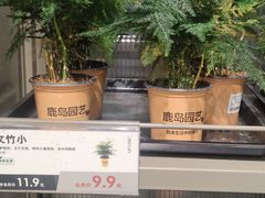 -龙湖杭州滨江天街