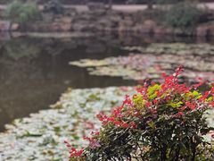 -灵谷景区
