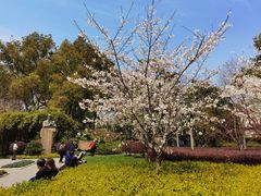 -徐家汇源景区-衡山公园