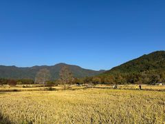-塔川景区