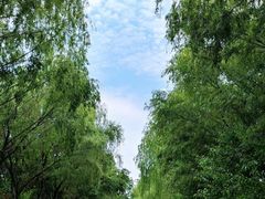 -同里国家湿地公园