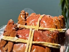 -蟹天蟹地农家菜·阳澄湖大闸蟹(浅水湾店)