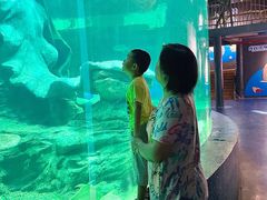 -龙谷湾旅游休闲度假区