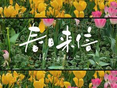 -苏州上方山国家森林公园