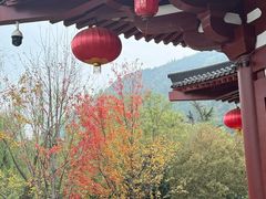 -华清宫景区
