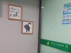 -半岛宠物医院24小时(科华中路店)