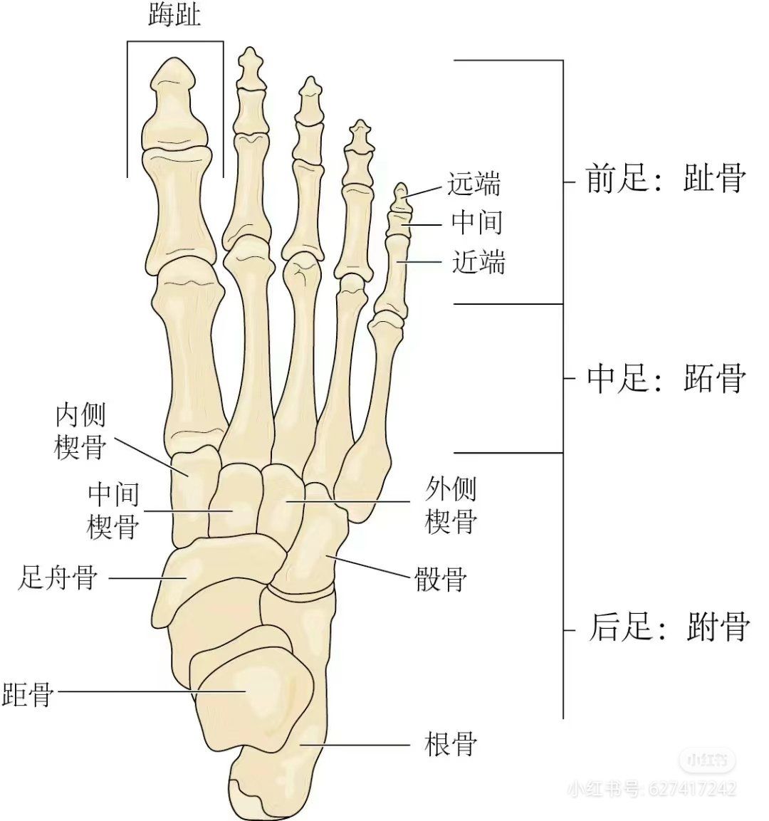 静颜瑜伽‮享分‬:​‎͏
为‮么什‬