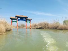 -泗洪洪泽湖湿地景区