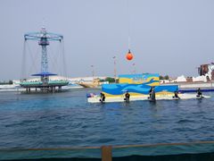 -秦皇岛乐岛海洋王国