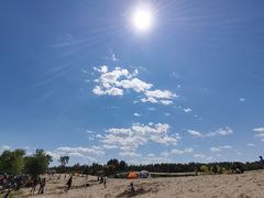 -东郊湿地公园