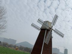 -长兴太湖图影湿地文化园