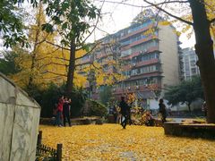 -成都市活水公园