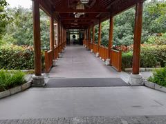-广悦华阳朔河畔度假酒店(十里画廊遇龙河店)