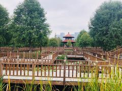 -五缘湾湿地公园