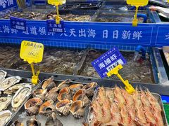 -鱼满舱·鲜活海鲜·正宗鲁菜