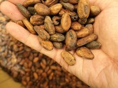 -歌斐颂巧克力小镇