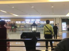-洪氏嗨捞·广东猪肚鸡·椰子鸡火锅(西咸万象城店)