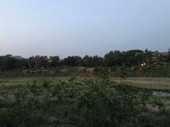 -乌托邦酒吧和餐厅