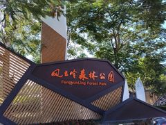 -风云岭森林公园