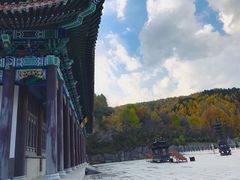 -青龙寺