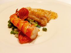 -蝶舍·MAISON PAPILLON