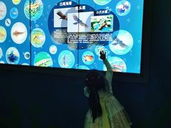 -中国湿地博物馆