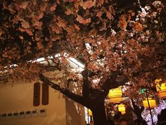 -龙湖星悦荟(颐和店)