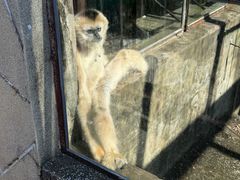 -昆明动物园