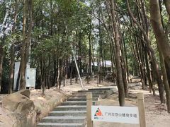 -火炉山森林公园