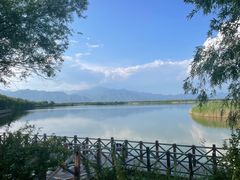 -野鸭湖国家湿地公园