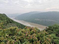 -铁山坪森林公园