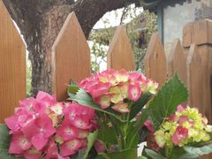 -万柳阁小馆·花园餐厅(龙潭湖店)