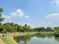 -升仙湖公园