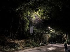 -铁山坪森林公园