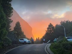 -重庆睡佛山森林公园